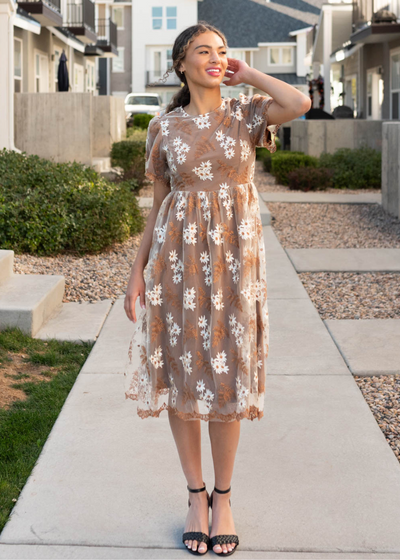 Brown embroidered dress