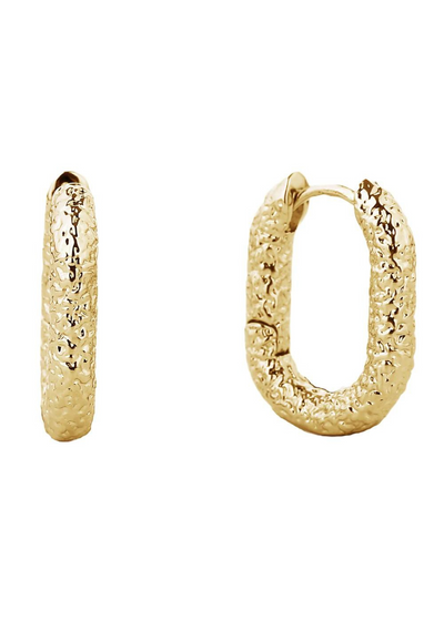 Hooped Neda gold earrings