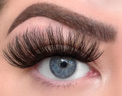 The Weightless No. 6 6 Pair Eyelash Set