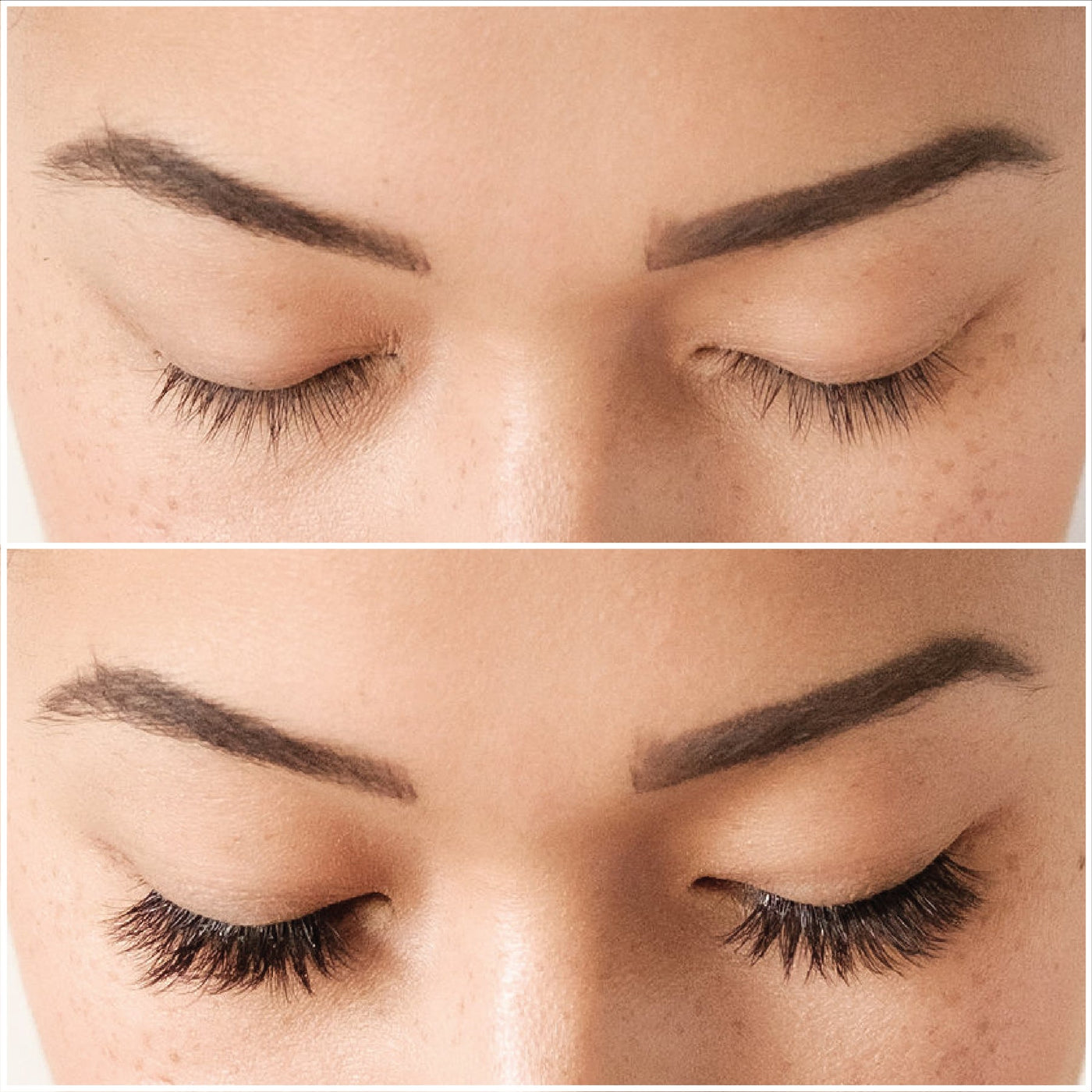 The Original 6 Pair Eyelash Set