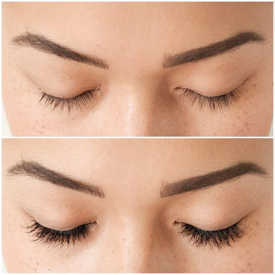 The Wink 6 Pair Eyelash Set