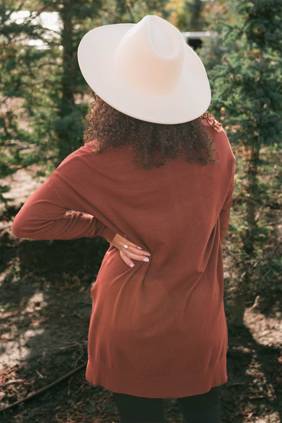 Back view of the dark rust v-neck sweater