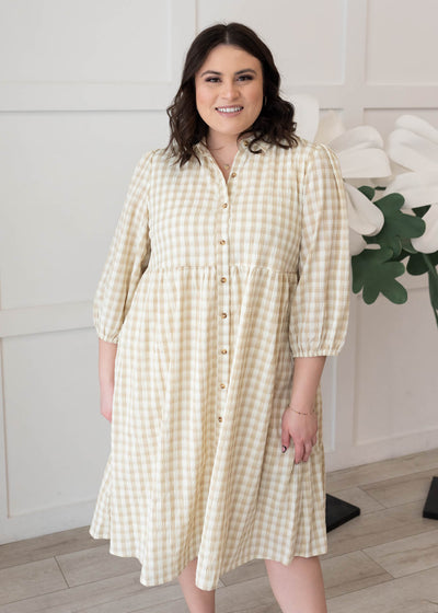 Cambree Taupe Gingham Button Down Dress