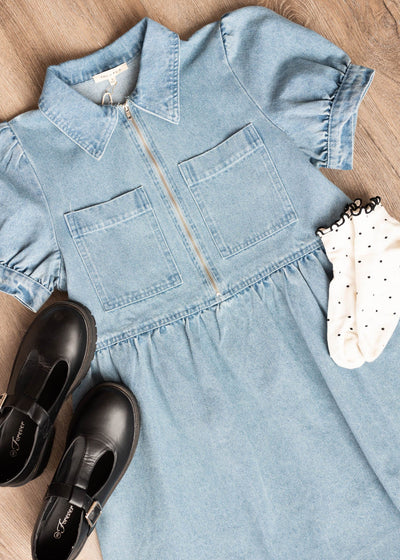 Caroline Denim Zip Up Dress