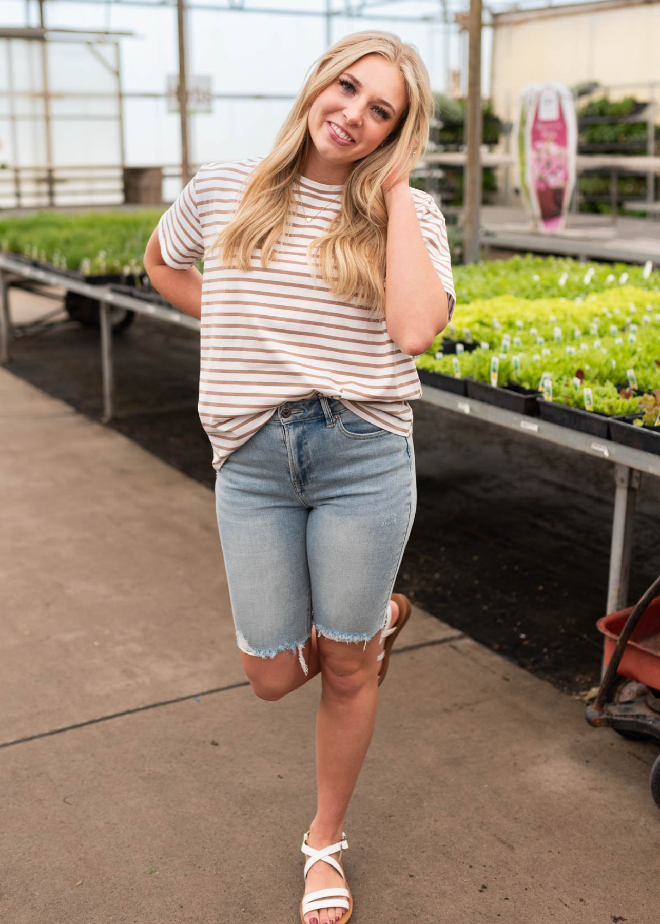 White taupe striped top with short sleeves