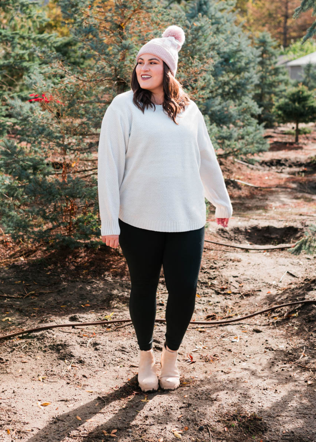 plus size bone sweater