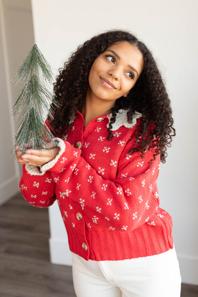 Red collared sweater top