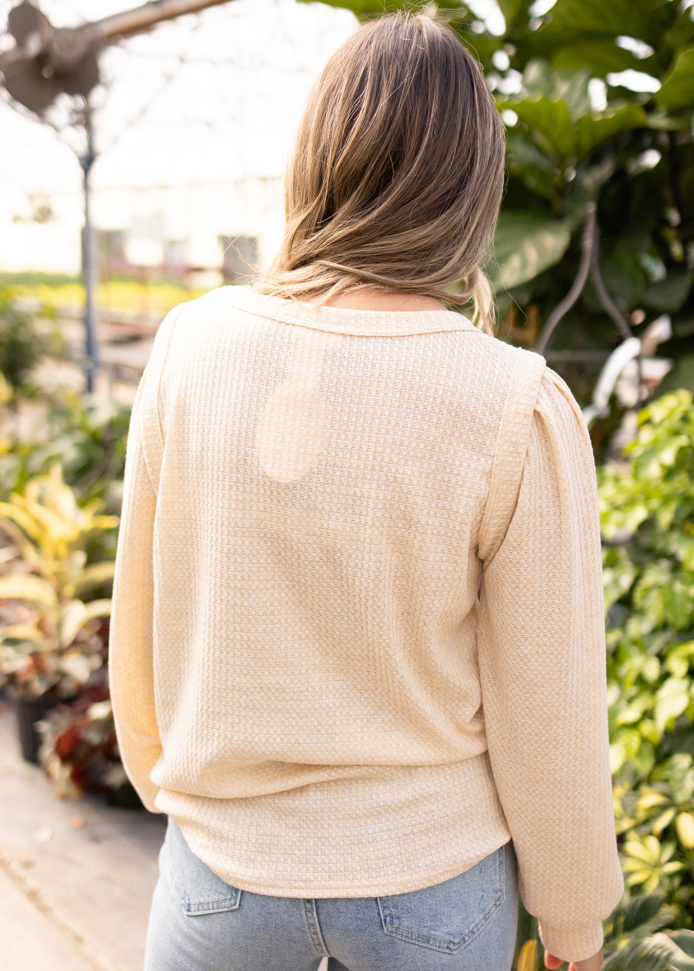 Back view of a oatmeal top